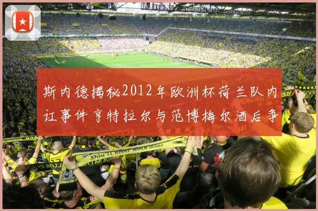 斯内德揭秘2012年欧洲杯荷兰队内讧事件亨特拉尔与范博梅尔酒后争执内幕